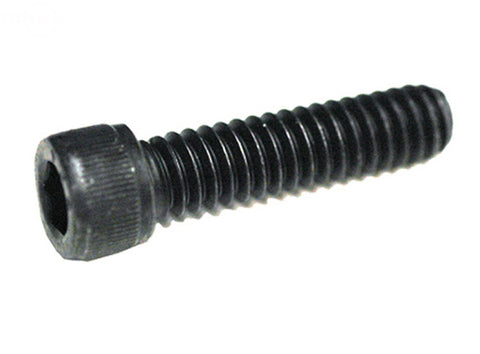 SCREW SOCKET 1/4-20 X 1"