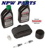 Kawasaki Engine Tune Up Kit #99969-6425 for FR651V FR691V FR730V & all FS Engine