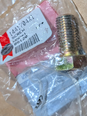 AGCO MASSEY FERGUSON 1441704X1  Screw Metric M20X40