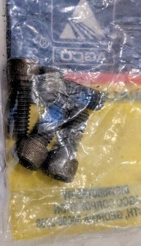 PAK OF 4 AGCO Part Number 526893 BOLT/ SCREW