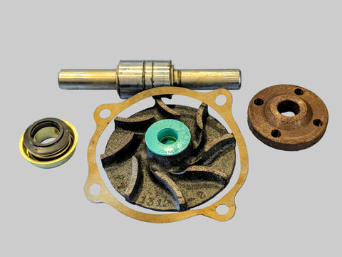AGCO MASSEY FERGUSON 835819M91 PUMP REPAIR KIT NEW OLD STOCK