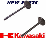 Genuine Kawasaki 12004-0733 12005-0777 Intake & Exhaust Valve Set OEM