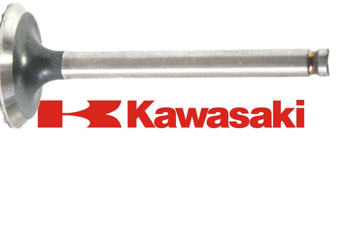 Kawasaki Engine Fd750d Valve Intake 12004-2113 New OEM