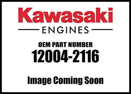 120042116 Kawasaki Engine Fd590v Valve Intake 12004-2106 12004-2116 New OEM