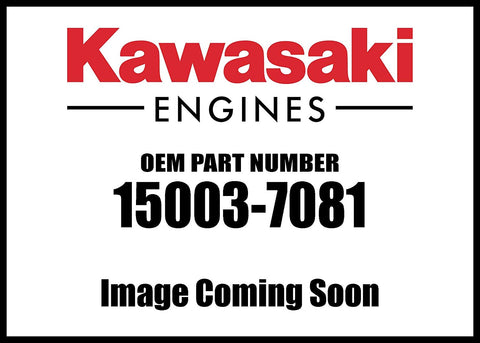 15003-7081 Kawasaki Engine Fh580v Carburetor Assembly 15003-7081 New OEM