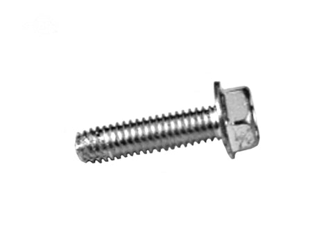SCREW HEX HEAD SELF-TAPPING 5/16"-18X1-1/4" AYP 138776, 157722, 173984, 532173984, 584953901